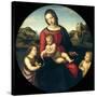 Tondo of the Virgin and Child with John the Baptist and a Holy Boy (The Madonna Terrranuova)-Raphael-Stretched Canvas