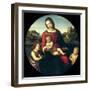 Tondo of the Virgin and Child with John the Baptist and a Holy Boy (The Madonna Terrranuova)-Raphael-Framed Giclee Print