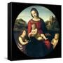 Tondo of the Virgin and Child with John the Baptist and a Holy Boy (The Madonna Terrranuova)-Raphael-Framed Stretched Canvas
