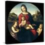 Tondo of the Virgin and Child with John the Baptist and a Holy Boy (The Madonna Terrranuova)-Raphael-Stretched Canvas