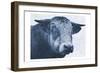 Tone And Tonal Bull-Sheldon Lewis-Framed Art Print