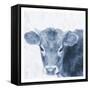 Tone To Tonal Farm Stead-Sheldon Lewis-Framed Stretched Canvas