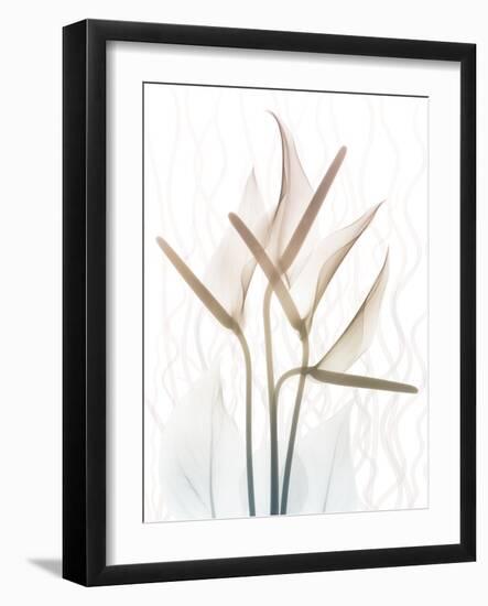 Toned Dawn 2-Albert Koetsier-Framed Photographic Print