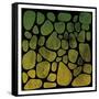 Tones On Stones-Marcus Prime-Framed Stretched Canvas