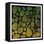 Tones On Stones-Marcus Prime-Framed Stretched Canvas