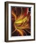 Tones-Barbara Keith-Framed Giclee Print