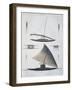 Tonga Canoes-null-Framed Giclee Print