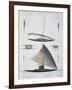 Tonga Canoes-null-Framed Giclee Print