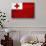 Tonga Flag Design with Wood Patterning - Flags of the World Series-Philippe Hugonnard-Stretched Canvas displayed on a wall