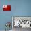 Tonga Flag Design with Wood Patterning - Flags of the World Series-Philippe Hugonnard-Stretched Canvas displayed on a wall