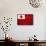 Tonga Flag Design with Wood Patterning - Flags of the World Series-Philippe Hugonnard-Framed Stretched Canvas displayed on a wall