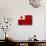 Tonga Flag Design with Wood Patterning - Flags of the World Series-Philippe Hugonnard-Stretched Canvas displayed on a wall