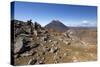 Tongariro Alpine Crossing with Mount Ngauruhoe-Stuart-Stretched Canvas