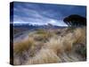Tongariro National Park, UNESCO World Heritage Site, North Island, New Zealand, Pacific-Ben Pipe-Stretched Canvas