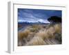 Tongariro National Park, UNESCO World Heritage Site, North Island, New Zealand, Pacific-Ben Pipe-Framed Photographic Print