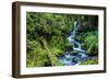 Tongass National Forest, Sitka, Alaska, USA-Mark A Johnson-Framed Photographic Print