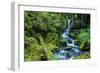 Tongass National Forest, Sitka, Alaska, USA-Mark A Johnson-Framed Photographic Print