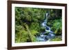 Tongass National Forest, Sitka, Alaska, USA-Mark A Johnson-Framed Photographic Print