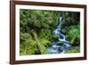 Tongass National Forest, Sitka, Alaska, USA-Mark A Johnson-Framed Photographic Print