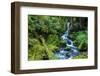 Tongass National Forest, Sitka, Alaska, USA-Mark A Johnson-Framed Photographic Print