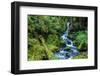 Tongass National Forest, Sitka, Alaska, USA-Mark A Johnson-Framed Photographic Print