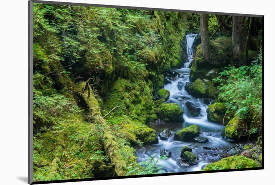 Tongass National Forest, Sitka, Alaska, USA-Mark A Johnson-Mounted Photographic Print