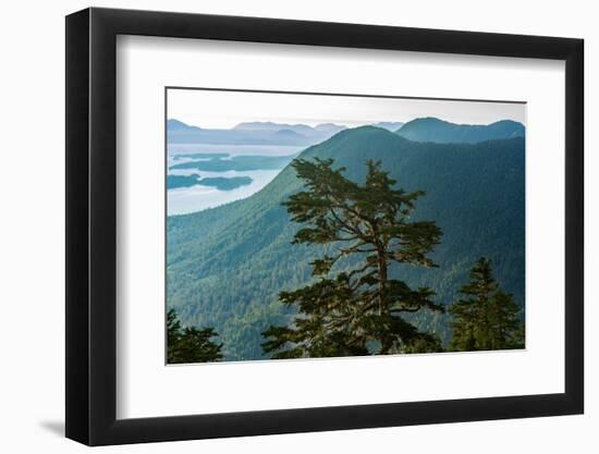 Tongass National Forest, Sitka, Alaska, USA-Mark A Johnson-Framed Photographic Print