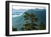 Tongass National Forest, Sitka, Alaska, USA-Mark A Johnson-Framed Photographic Print