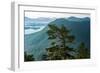 Tongass National Forest, Sitka, Alaska, USA-Mark A Johnson-Framed Photographic Print