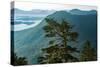 Tongass National Forest, Sitka, Alaska, USA-Mark A Johnson-Stretched Canvas