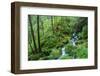 Tongass National Forest, Sitka, Alaska, USA-Mark A Johnson-Framed Photographic Print