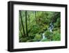 Tongass National Forest, Sitka, Alaska, USA-Mark A Johnson-Framed Photographic Print