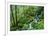 Tongass National Forest, Sitka, Alaska, USA-Mark A Johnson-Framed Photographic Print