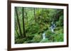 Tongass National Forest, Sitka, Alaska, USA-Mark A Johnson-Framed Photographic Print