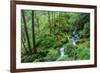 Tongass National Forest, Sitka, Alaska, USA-Mark A Johnson-Framed Photographic Print