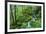 Tongass National Forest, Sitka, Alaska, USA-Mark A Johnson-Framed Photographic Print