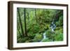 Tongass National Forest, Sitka, Alaska, USA-Mark A Johnson-Framed Photographic Print