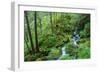 Tongass National Forest, Sitka, Alaska, USA-Mark A Johnson-Framed Photographic Print