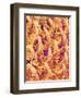 Tongue filiform papillae of a rabbit magnified x300-Micro Discovery-Framed Photographic Print