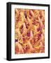 Tongue filiform papillae of a rabbit magnified x300-Micro Discovery-Framed Photographic Print