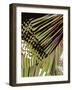 Tongue In Cheek One-Ruth Palmer-Framed Art Print