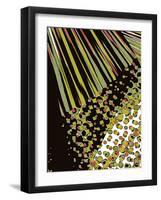 Tongue In Cheek Two-Ruth Palmer-Framed Art Print