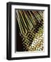 Tongue In Cheek Two-Ruth Palmer-Framed Art Print