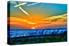 Wings and Jets Sunset-Toni Vaughan-Stretched Canvas