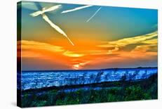 Wings and Jets Sunset-Toni Vaughan-Art Print