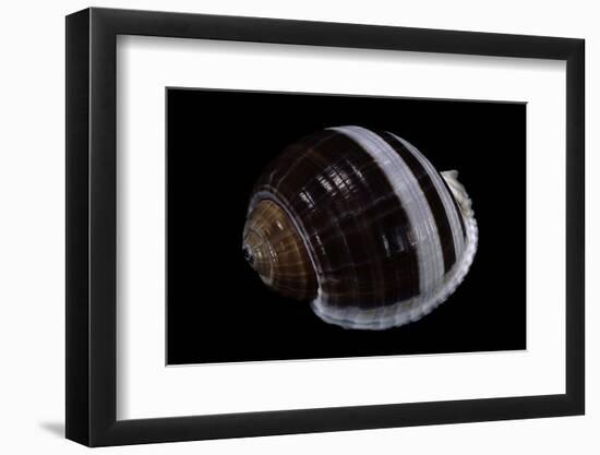 Tonna Sulcosa-Paul Starosta-Framed Photographic Print