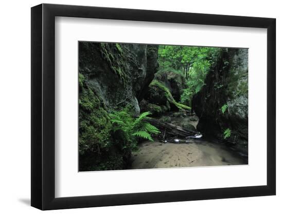 Premium Photographic Print, , large