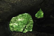 Halerbach - Haupeschbach, a Small Stream Flowing Past Moss Covered Rocks in Forest, Luxembourg-Tønning-Photographic Print