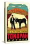 Tonopah, Nevada Decal-null-Stretched Canvas