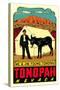 Tonopah, Nevada Decal-null-Stretched Canvas